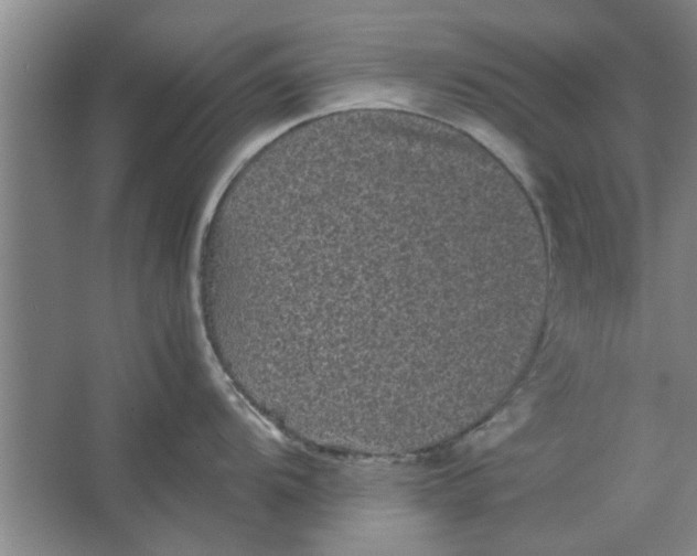 X0000063441104200602101616
