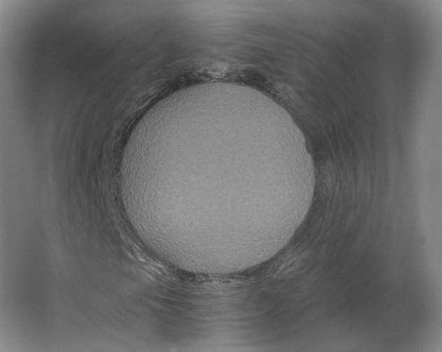 X0000063441105200602101615