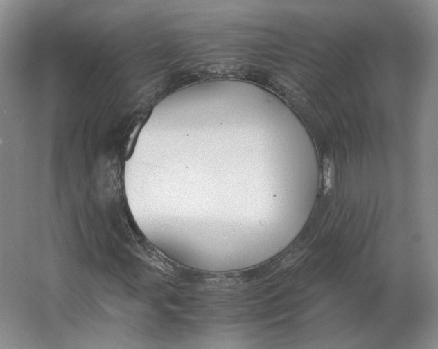 X0000063441107200602101615
