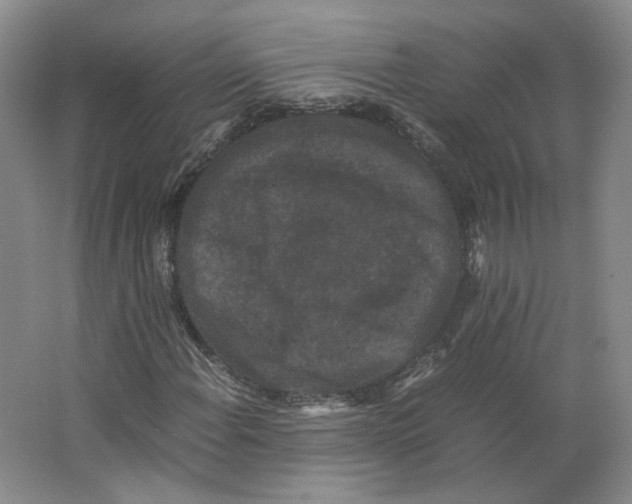 X0000063441108200602101615