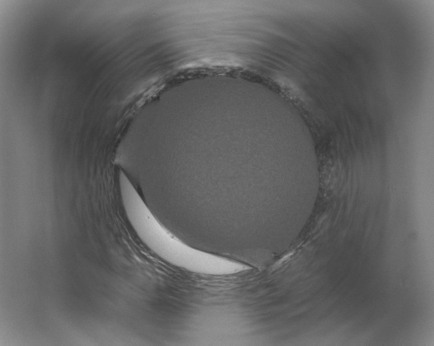 X0000063441110200602101615