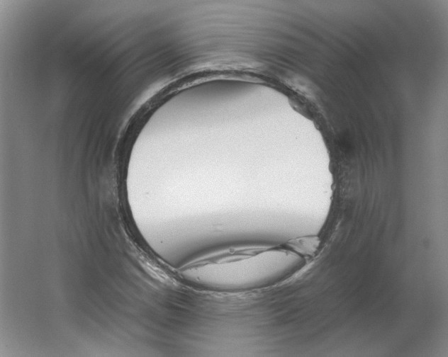 X0000063441114200602101615