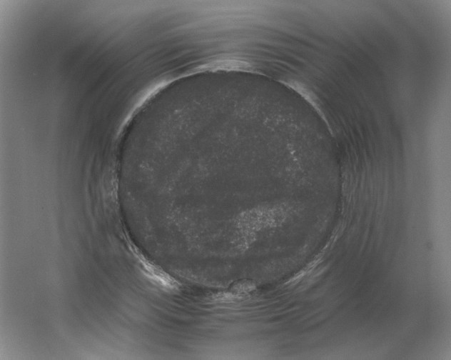 X0000063441115200602101615