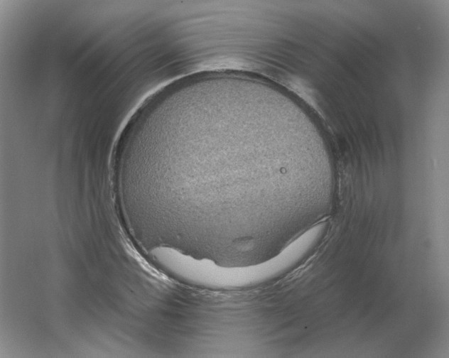 X0000063441116200602101615