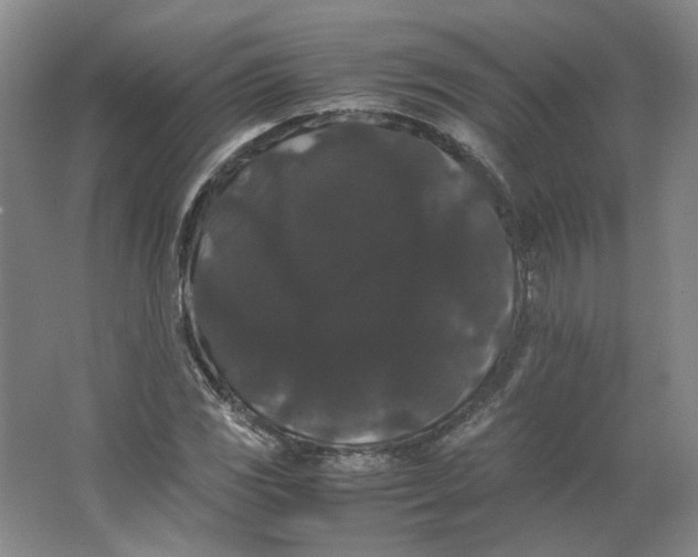 X0000063441117200602101615