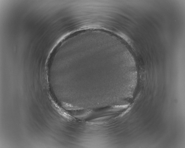 X0000063441118200602101615