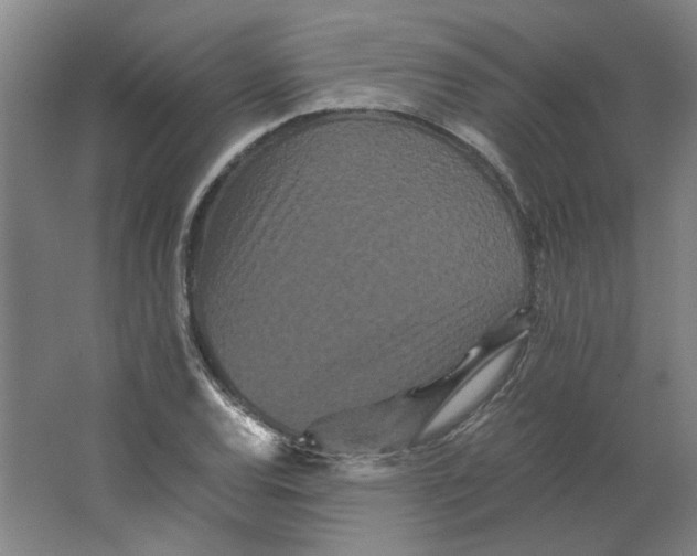 X0000063441120200602101615