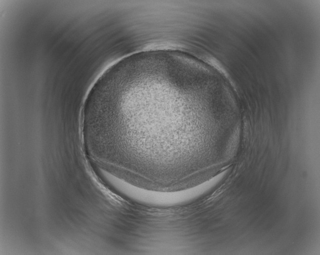 X0000063441124200602101615