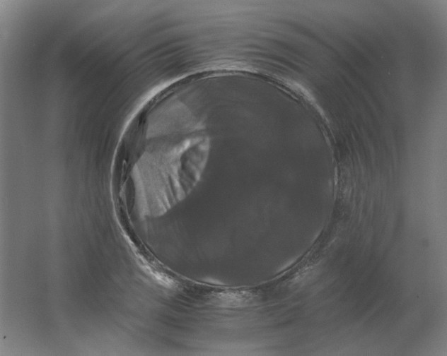 X0000063441125200602101615