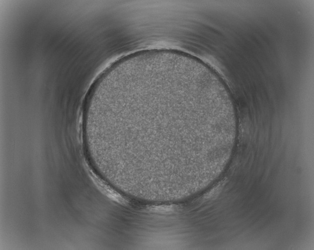 X0000063441126200602101615