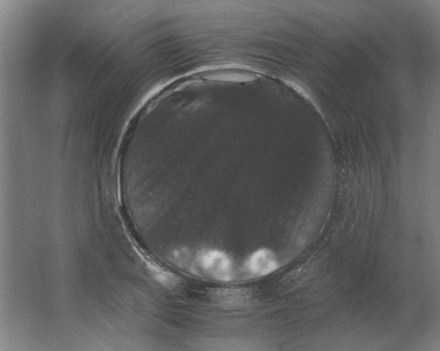 X0000063441127200602101615