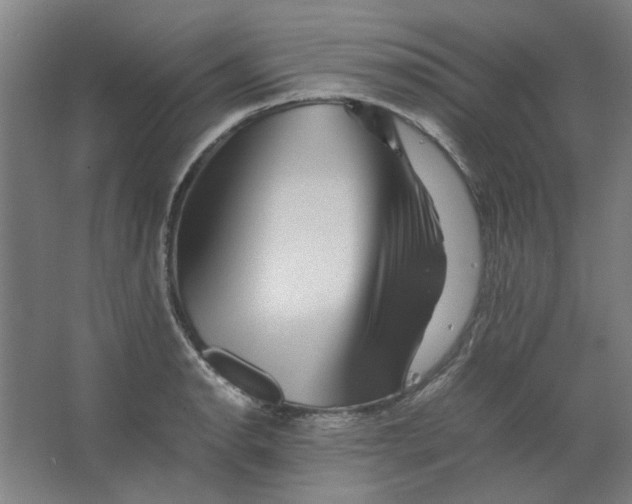 X0000063441134200602101615