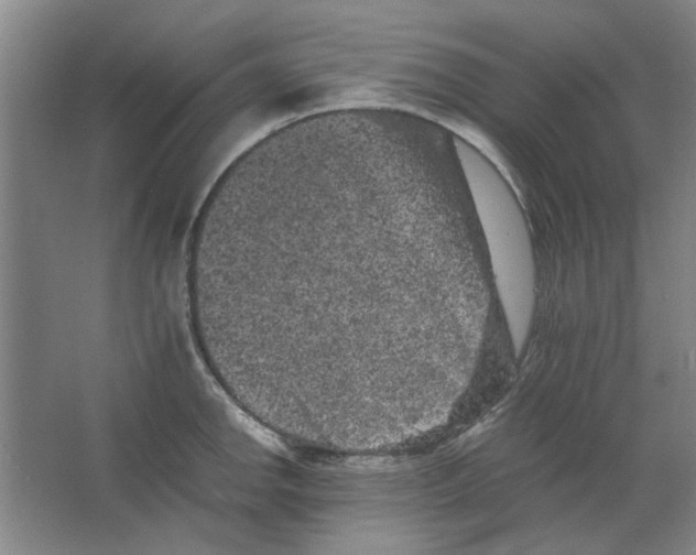 X0000063441142200602101615