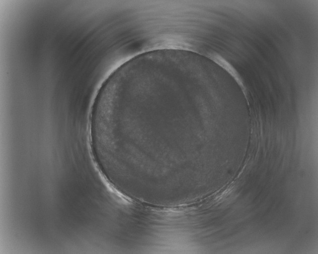 X0000063441144200602101615