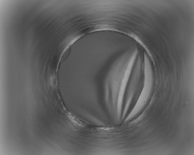 X0000063441145200602101615