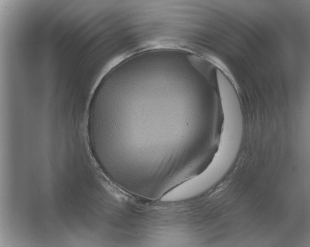 X0000063441146200602101615