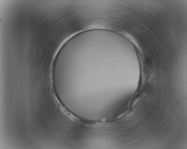 X0000063441148200602101615