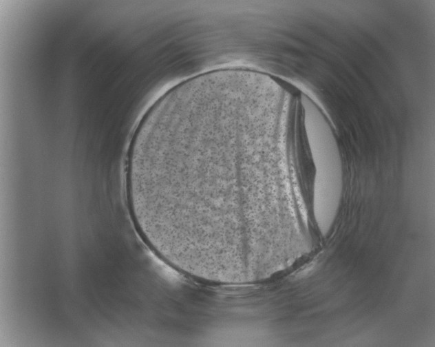 X0000063441151200602101616