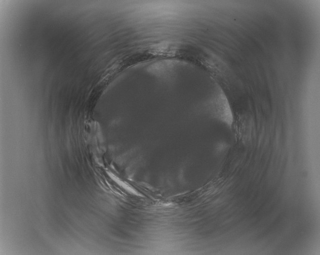 X0000063441154200602101615