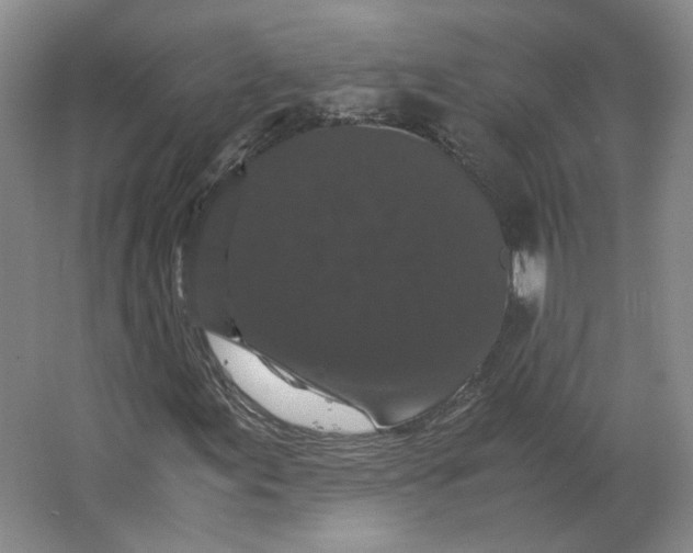 X0000063441155200602101615