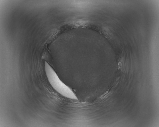 X0000063441156200602101615