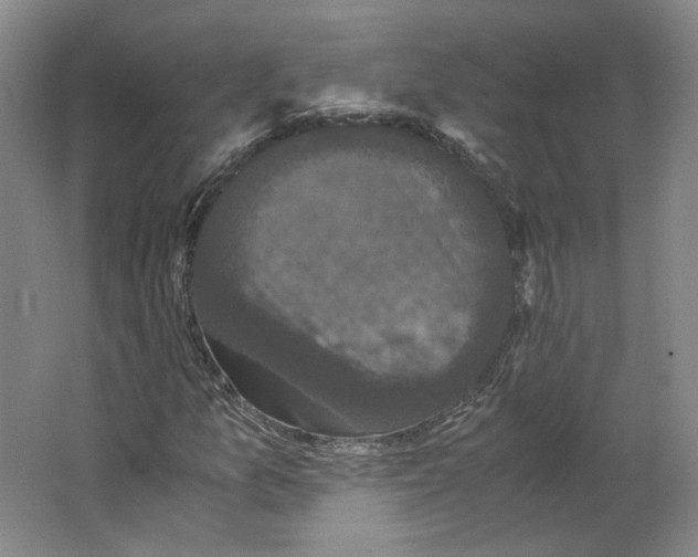 X0000063441157200602101615