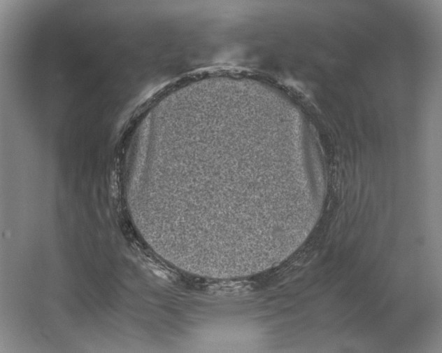 X0000063441159200602101615