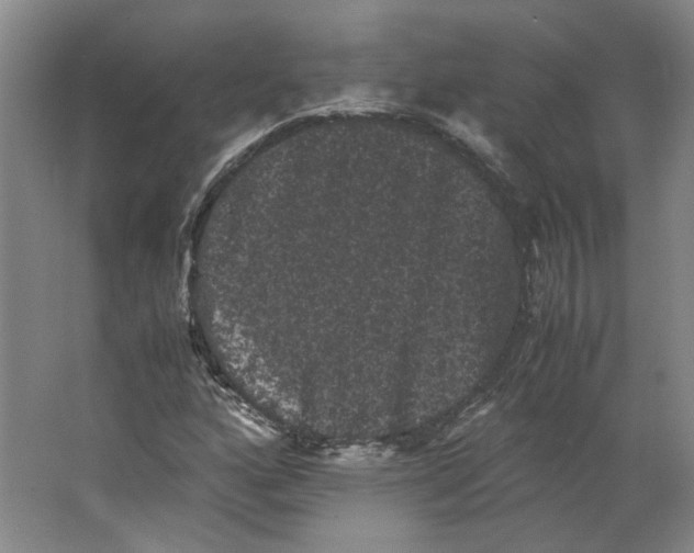 X0000063441160200602101615