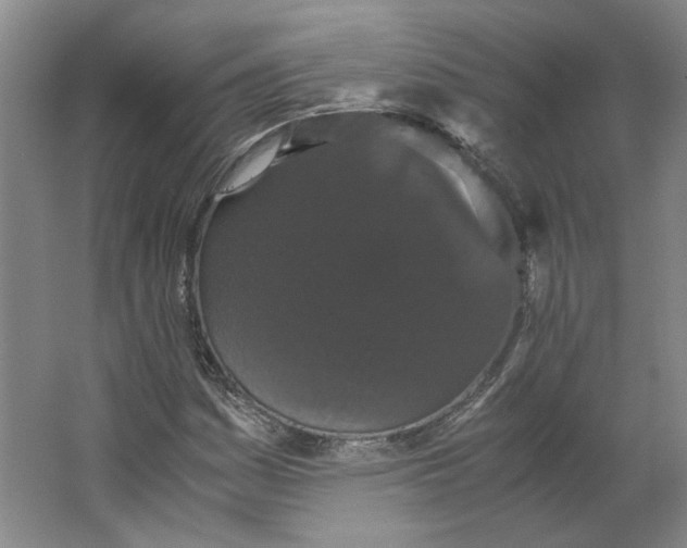 X0000063441161200602101615