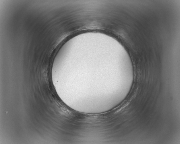 X0000063441162200602101615