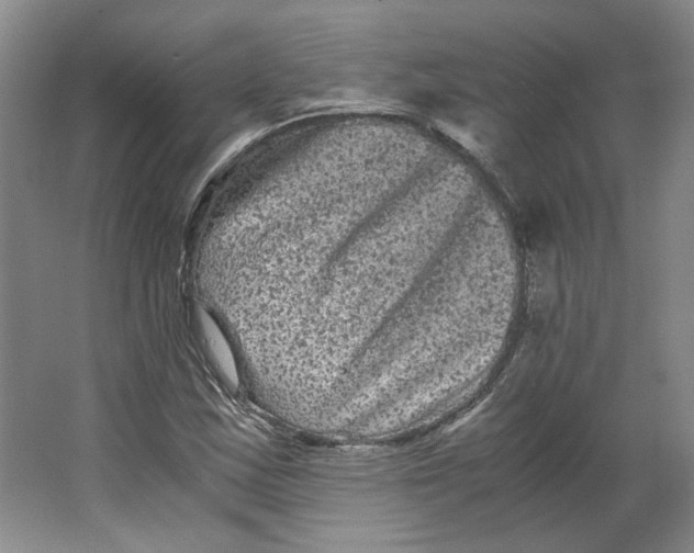 X0000063441163200602101615