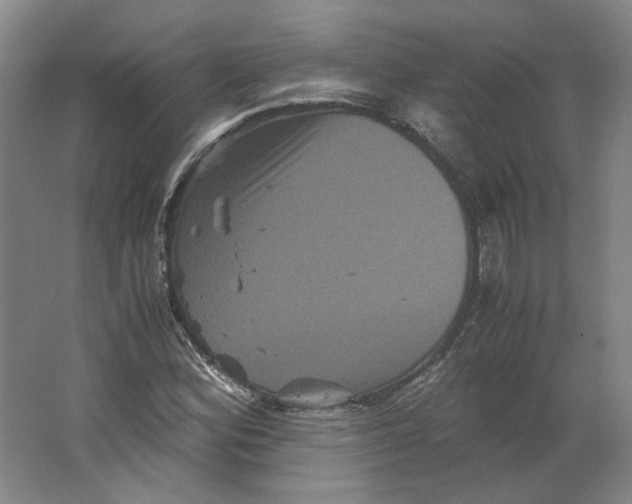 X0000063441164200602101615