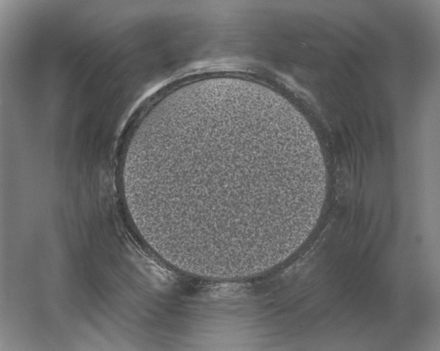 X0000063441166200602101615