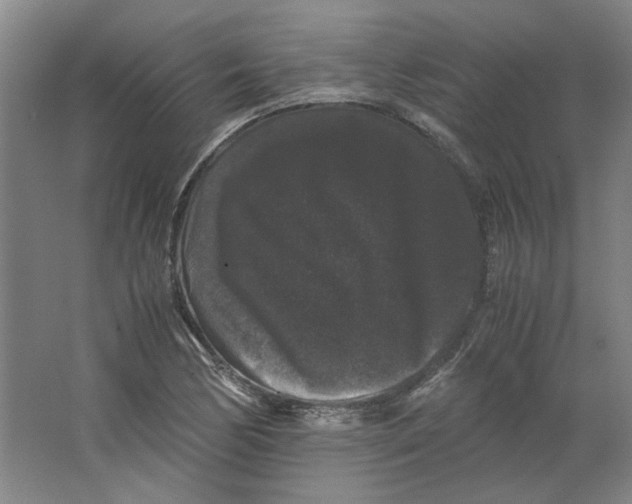 X0000063441170200602101614