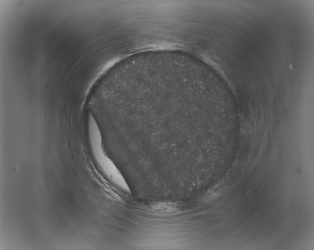 X0000063441171200602101614