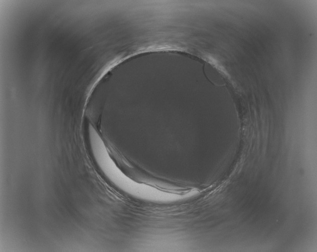 X0000063441173200602101614