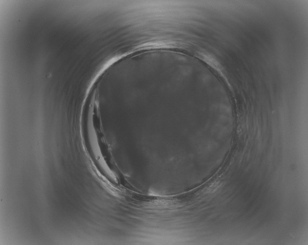 X0000063441179200602101614
