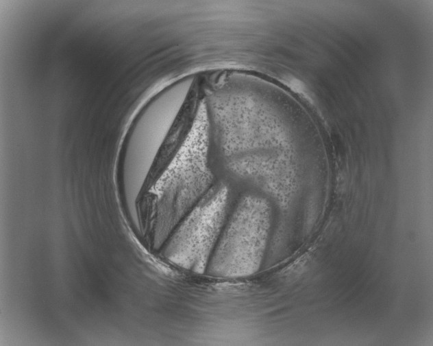 X0000063441181200602101614