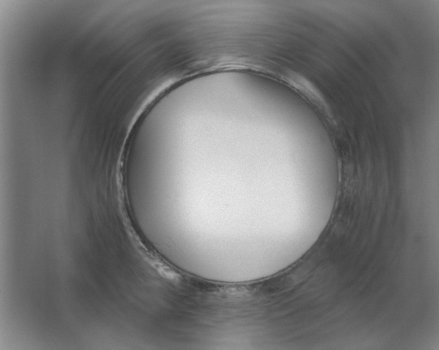 X0000063441190200602101614