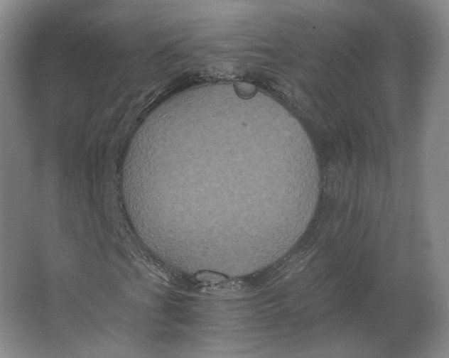X0000063441201200602101613