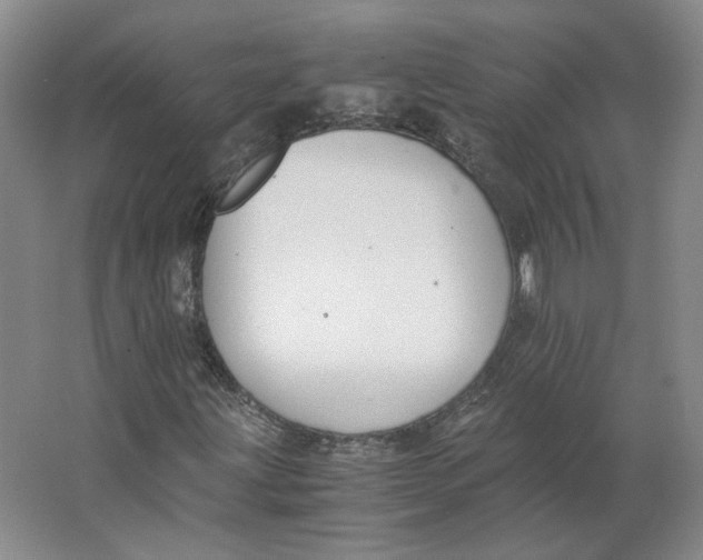 X0000063441203200602101613