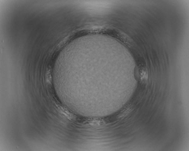 X0000063441204200602101613