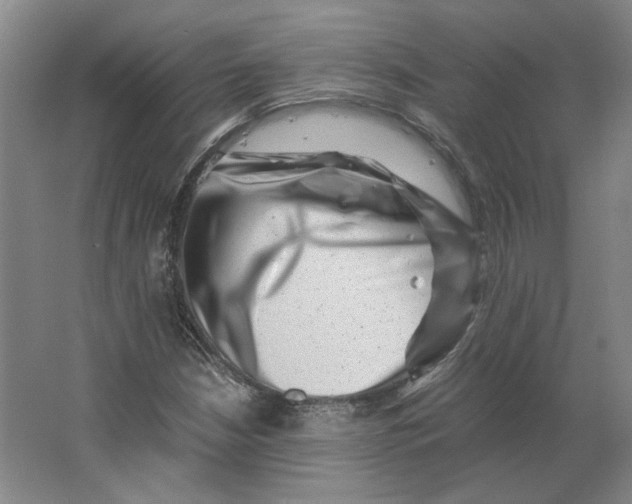 X0000063441210200602101613