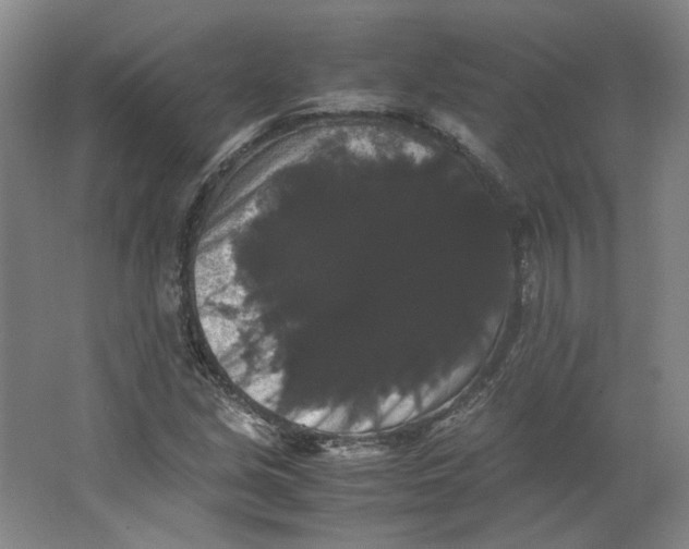 X0000063441213200602101613