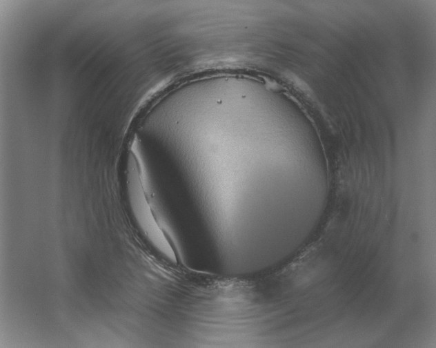 X0000063441218200602101613