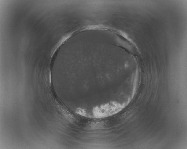 X0000063441221200602101613