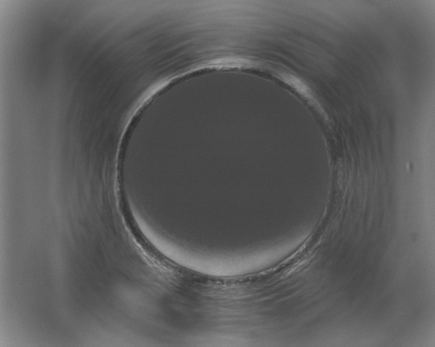 X0000063441229200602101614