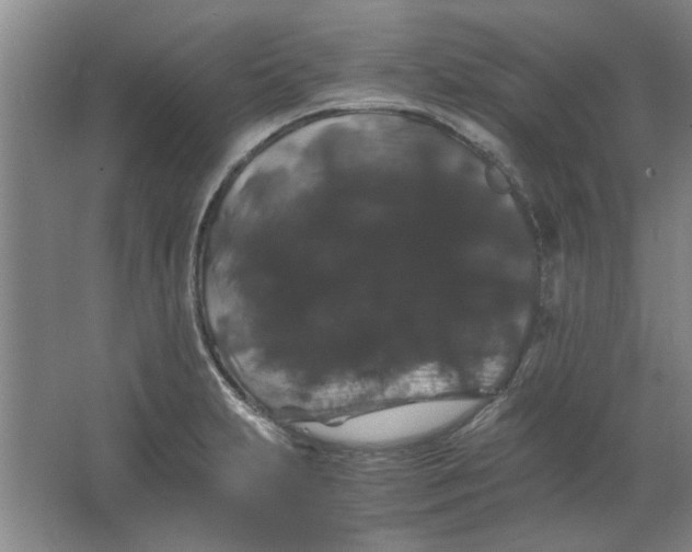 X0000063441231200602101614