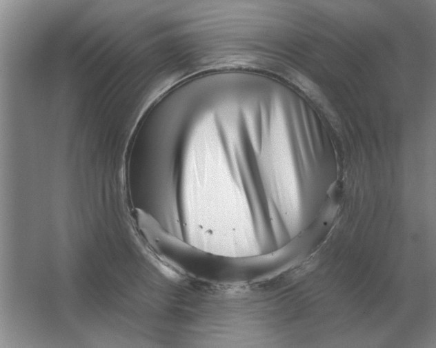 X0000063441234200602101614