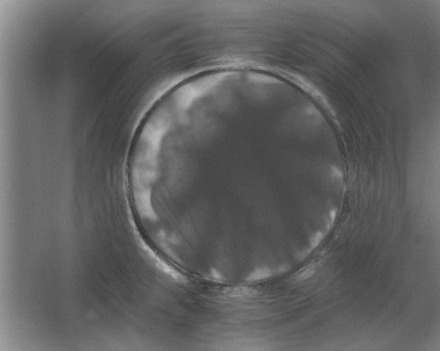 X0000063441239200602101614